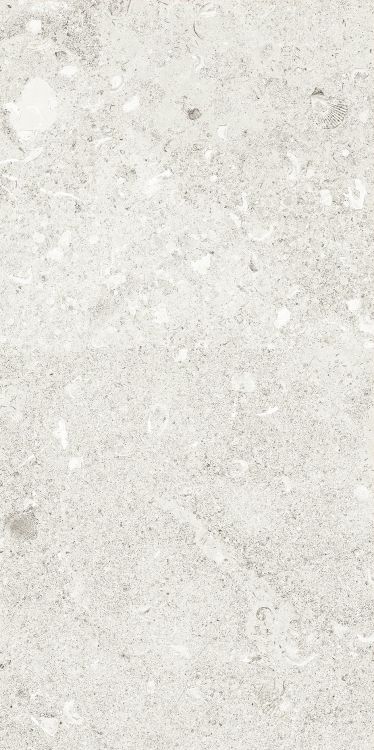 Sea Luster Bianca Matte 12 x 24